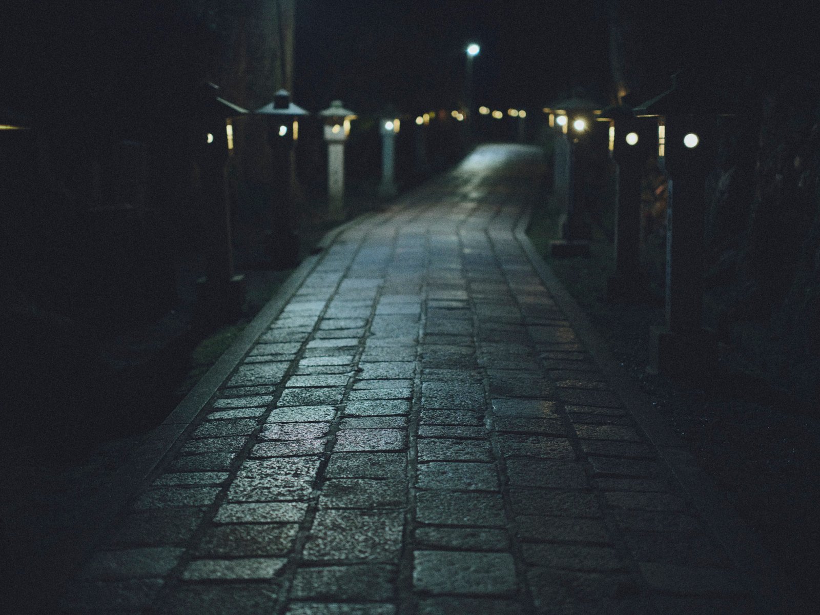Small lights along a path at night.