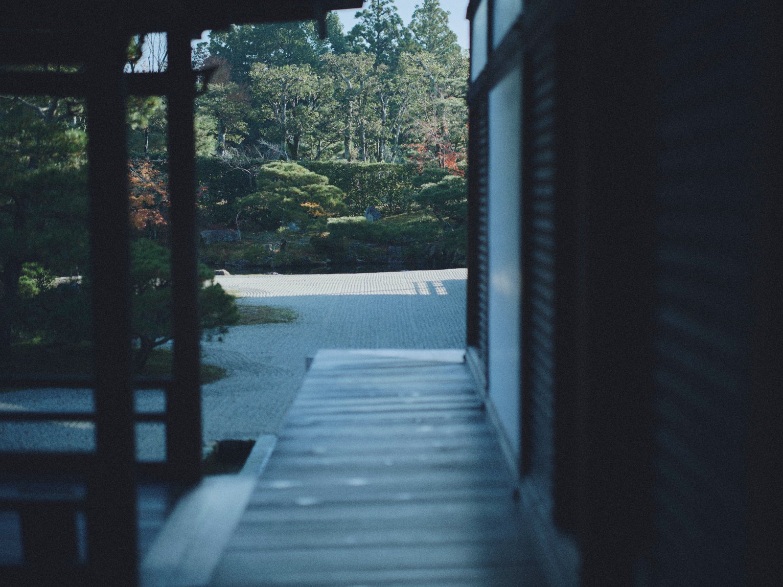 From the shade of a wooden veranda, a garden opens into light.