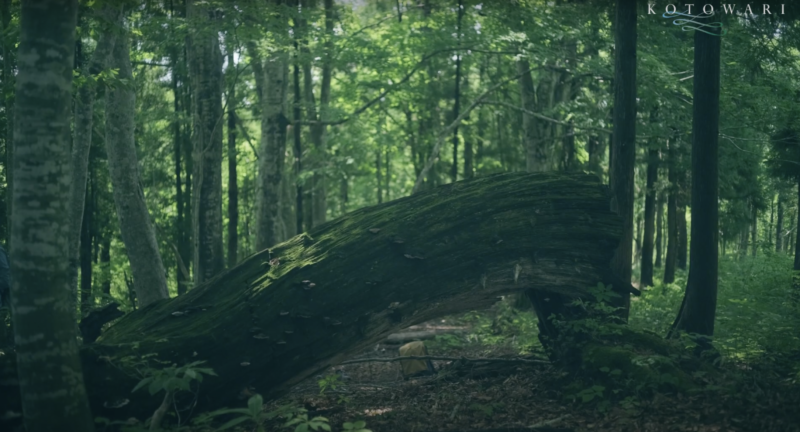 Video cover